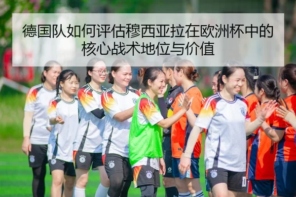 de-guo-dui-ru-he-ping-gu-mu-xi-ya-la-zai-ou-zhou-bei-zhong-de-he-xin-zhan-shu-di-wei-yu-jia-zhi-2-442.jpg