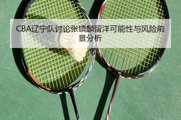 liao-ning-dui-tao-lun-zhang-zhen-lin-liu-yang-ke-neng-xing-yu-feng-xian-qian-jing-fen-xi-2-531.jpg