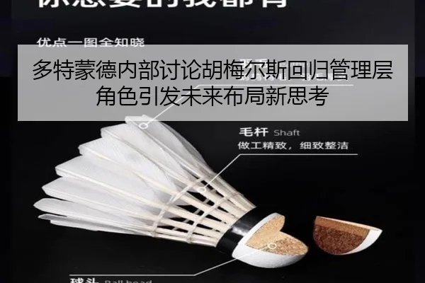 多特蒙德内部讨论胡梅尔斯回归管理层角色引发未来布局新思考